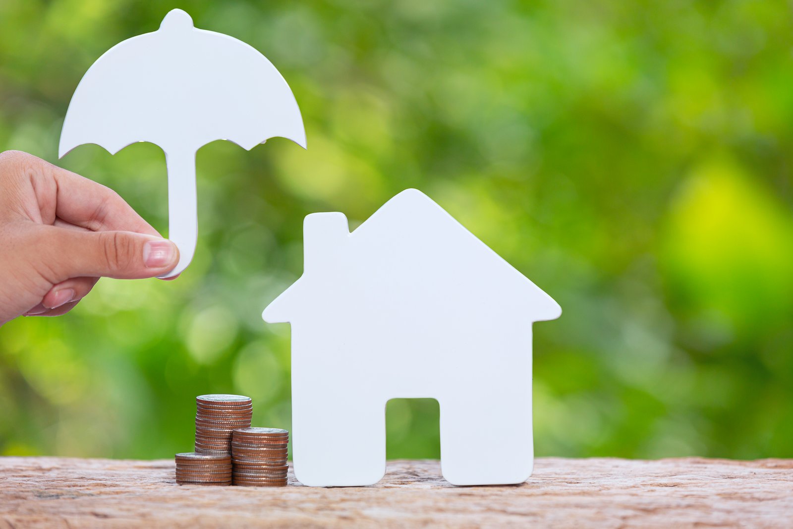 Family Financial Security